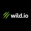 Wild Casino 1 Diseno sin titulo 2025 08 15T130423.915